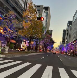 12月になりました