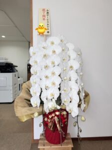 ☆７周年☆